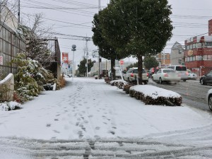 雪景色